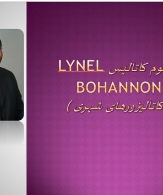 مفهوم کاتالیس (کاتالیزورهای شهری )  از دیدگاه  لینل بانن Lynel Bohannon