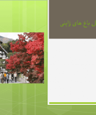 تحلیل و بررسی باغ های ژاپنی