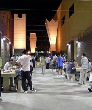 پروژه تحلیل و بررسی پارک های جیبی Pocket park و مینی پارک ها minipark
