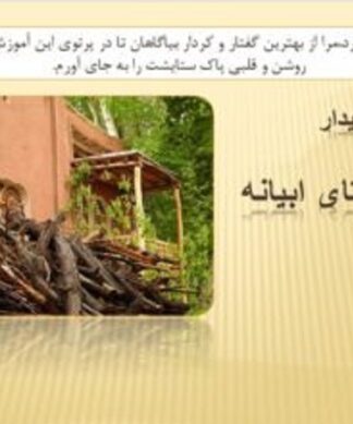 پروژه روستای ابیانه