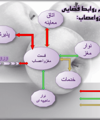 نمونه پروژه طرح 4 معماری طراحی درمانگاه عمومی