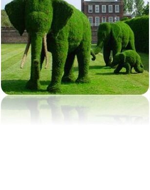 هنر شكل سازی در المان و فضاهای شهری TOPIARY