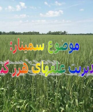 مدیریت جامع علفهای هرز در مزارع گندم