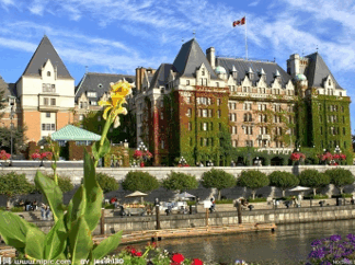 شهر سالم(healthy city )