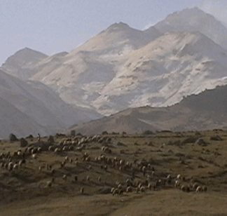 روستای سردابه (اردبیل)