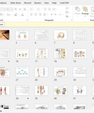 اختلالات سیستم حرکتی