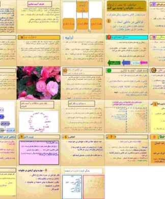 آسیب شناسی خانواده