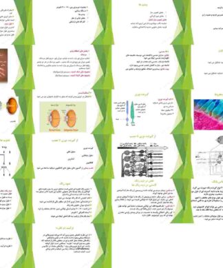 احساس و ادراک حس بینایی