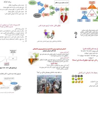 تنظیم هیجان در پیشگیری از طلاق