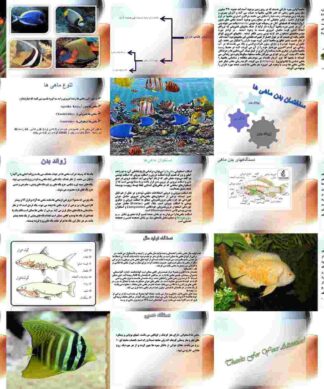 پروژه جانورشناسی شناخت ماهی ها
