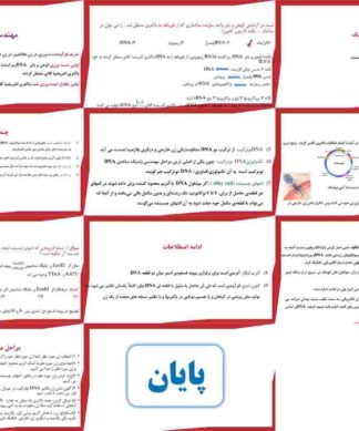 پروژه مهندسی ژنتیک