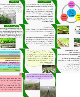 پروژه کشت گلخانه ای
