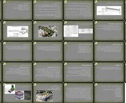 بام سبز انواع، روش‌های اجرا، اجزا و گیاهان مورد استفاده