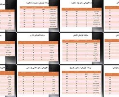 برنامه فیزیکی فضاهای ورزشی و خدماتی مجموعه ورزشی