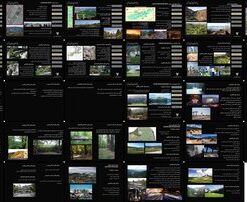 تحلیل تطبیقی پارک‌های نمونه ویژگی‌ها، عملکردها و موقعیت‌های مکانی