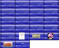 راهنمای جامع کاشت، داشت و برداشت زعفران