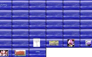 راهنمای جامع کاشت، داشت و برداشت زعفران