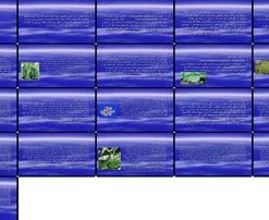 راهنمای جامع کشت خیار