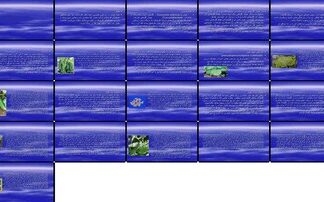 راهنمای جامع کشت خیار