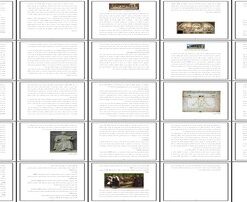 پروژه رنسانس احیا، دگرگونی و نوزایی تمدن اروپا