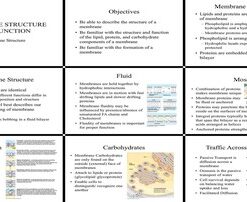 ساختار و عملکرد غشاء سلولی