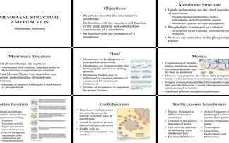 ساختار و عملکرد غشاء سلولی