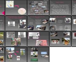 سازماندهی مبلمان شهری نمونه موردی خیابان امام (ره) سیرجان