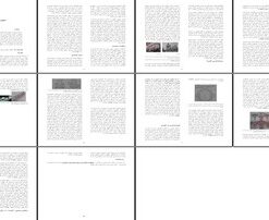 پروژه سکونت عمومی در کلیسا دیدگاه کریستین نوربری شولتز