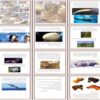 پروژه شگفتی‌های دنیای حیوانات