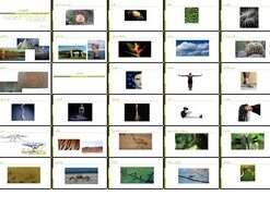 معماری ارگانیک تعامل انسان، طبیعت و سازه