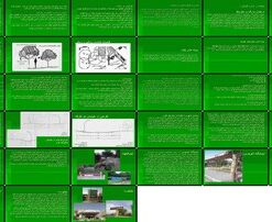 نقش و اهمیت فضای سبز در شهرسازی طراحی، کارکرد، و انتخاب گیاهان