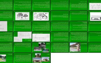نقش و اهمیت فضای سبز در شهرسازی طراحی، کارکرد، و انتخاب گیاهان