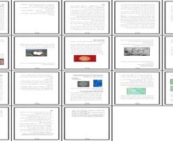 پروژه کنترل بیولوژیکی پوسیدگی ریزوکتونیایی چغندر قند با استفاده از قارچ تریکودرما