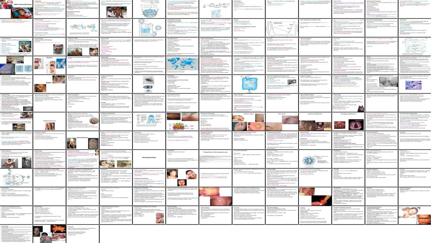 دانلود پاورپوینت HIV and AIDS Lentiviral Etiology, Pathogenesis, and Clinical Manifestations