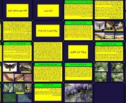 دانلود پاورپوینت آفات مهم درختان گردو کرم سیب، کرم خراط و کرم جگری و