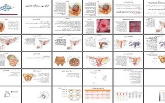دانلود پاورپوینت آناتومی دستگاه تناسلی و لگن زنانه