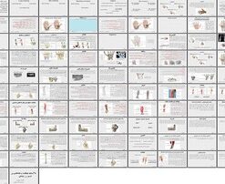 دانلود پاورپوینت اجزای ماشین استارتینگ شیت، آناتومی و عملکرد دست و سیستم های کنترلی
