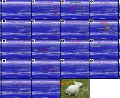 دانلود پاورپوینت اورژانس مسمومیت‌ها علل، انواع، علائم، اقدامات درمانی و مراقبتی