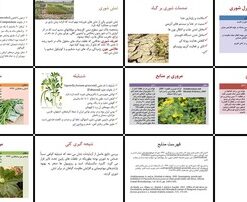 دانلود پاورپوینت تحلیل اثرات تنش شوری بر ترخون و شنبلیله راهکارهای افزایش مقاومت با