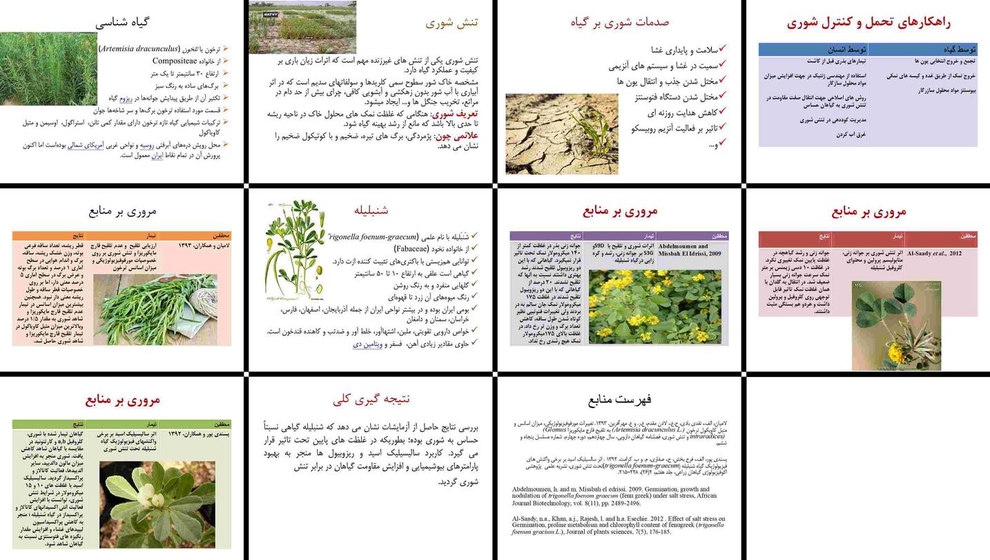 دانلود پاورپوینت تحلیل اثرات تنش شوری بر ترخون و شنبلیله راهکارهای افزایش مقاومت با