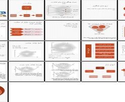 تحلیل اقتصادی بهینگی پارتو، رفاه، نظریه بنگاه و هزینه ها در بازارهای