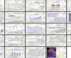 دانلود پاورپوینت تحلیل جامع کشت، تولید، فرآوری و بازار زعفران در ایران