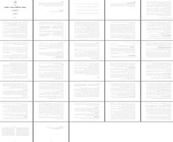 تحلیل زندگانی، سبک و آثار میرزا عبدالقادر بیدل دهلوی