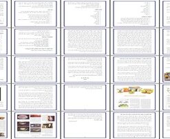 تحلیل شخصیت ESTJ، فرصت‌های شغلی در مشهد و ویژگی‌های رفتاری ایرانیان