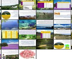 تحلیل و بررسی کشاورزی و دامپروری ایران در دوره قاجار تا دهه