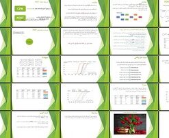 دانلود پاورپوینت تحلیل و مقایسه توزیع‌های مختلف در شبکه‌های PERT و تاثیر آنها بر