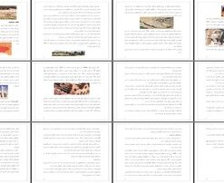 تخت‌جمشید تاریخچه، معماری و کاخ‌های تشریفاتی