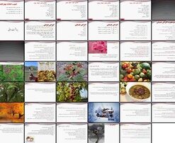 تدابیر حفظ سلامتی بر اساس طب سنتی اخلاط، علائم غلبه، ورزش، اعراض