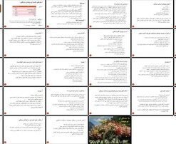 تغذیه در بیماران سرطانی راهنما و ملاحظات کلیدی