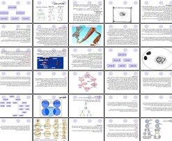دانلود پاورپوینت تقسیم سلولی از پروکاریوت‌ها تا یوکاریوت‌ها، میتوز، کروموزوم و اجزای آن
